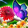 皮皮虾lite版 